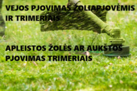 Aplinkos tvarkymas garliava