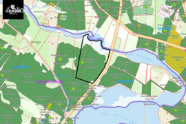 484.0 a sklypas Molėtų r. sav., Drąsėnai