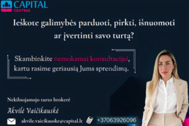 Profesionalios NT paslaugos, maksimalus dėmesys kiekvienam.