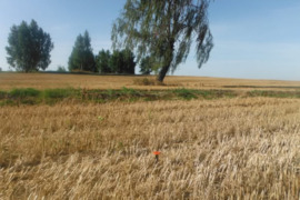 Parduodu 6-is žemės ūkio paskirties žemės sklypus