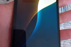 Apple 11