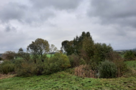 96.16 a sklypas Jonavos r. sav., Prauliai, Dvaro g.