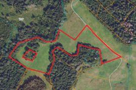Parduodamas 4,20 ha žemės sklypas Žalvariųk., Molėttų r.