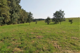 PARDUODAMAS IŠSKIRTINIS 174 ARŲ SKLYPAS  Vilniaus r,