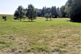 PARDUODAMAS IŠSKIRTINIS 174 ARŲ SKLYPAS  Vilniaus r,