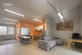 1 kamb. butas Panevėžys, Panevėžys, V. Kudirkos g.