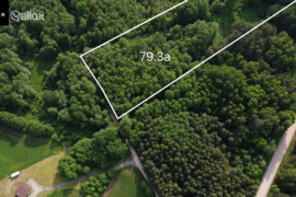 79.35 a sklypas Trakų r. sav.