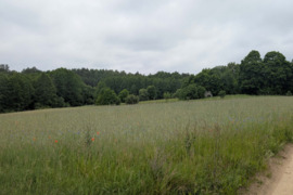 Žemės sklypas Lazdijų rajone, Seirijų sav., Paserninkų kaime