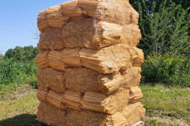 Prakuros