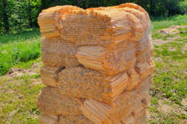 Prakuros