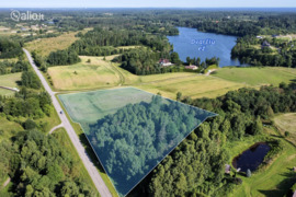 196.22 a sklypas Trakų r. sav., Padvariškės