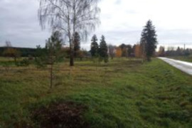 Sklypas Šakių rajone. Mikytuose.