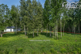 Parduodamas 20 arų sklypas miško pašonėje Šiaulių mieste