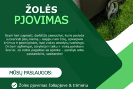 Žolės pjovimas