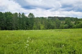 Žemės ūkio paskirties sklypas 6,53 ha Dunduliai, Molėtų r.sav.,