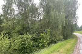 ŽEMĖS ŪKIO  PASKIRTIES SKLYPAS