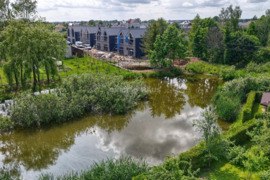 Kaunas, Aleksotas, Alšėngirės g.