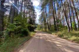 51.34 a sklypas Kelmės r. sav., Svilė