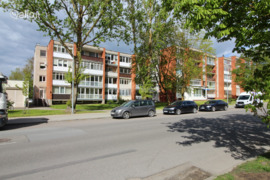 3 kamb. butas Šiauliai, Šiauliai, Vilniaus g.