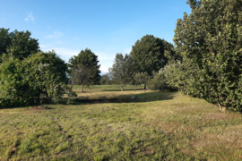 18 a sklypas Kalvarijos sav., Naujienėlė, Aušros g.