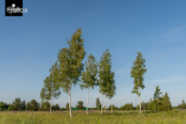 16.8 a sklypas Vilniaus r. sav., Skaidiškės, Aguonų g.