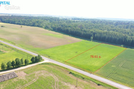 78.61 a sklypas Kauno r. sav., Eigirgala, Vandžiogalos pl.