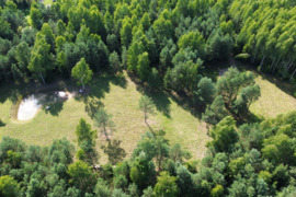 Parduodamas sklypas Anykščių r. miškų apsuptyje su statybos leidimu ir paruoštu namo projektu