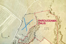PARDUODAMAS ŽEMĖS SKLYPAS TAMOŠAIČIŲ KM. TAURAGĖS RAJ.