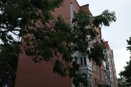 SAVININKAS parduoda 2 kamb. butą Klaipedoje