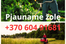 Žolės pjovimas