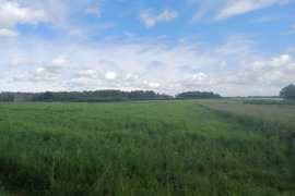 Parduodu žemės sklypą Žadžiūnų k.