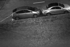 Nespalvotų foto ir video perdarymas į spalvotus