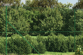 vidaXL Tinklinė tvora su smaigais, žalios spalvos, 1,4x10m