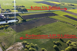 43.0 a sklypas Panevėžio r. sav., Uliūnai, Gėlių g.