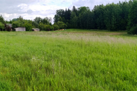Nuomojamas 1,1 ha žemės ūkio paskirties sklypas prie Alovės, Pagurnių k.