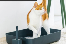 Atviras kačių tualetas | Poh litter box