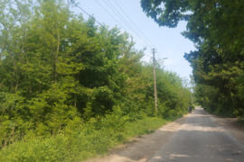 Sklypų tvarkymą Bobcato paslaugos