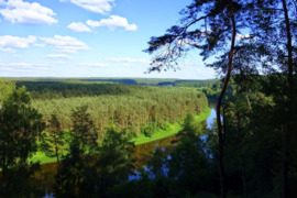 Ieškau žemės sklypo priežiūros mainais už dalį naudojimo ar nuosavybės