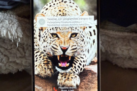 LG G3