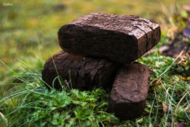 Durpių briketai.065697937