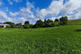 3647 a sklypas Trakų r. sav., Čižiūnai