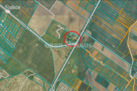 1.20 a sklypas Šiaulių r. sav., Sutkūnai