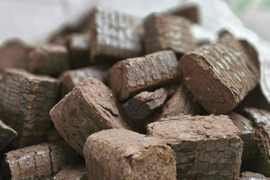 PIGIAI KOKYBIŠKAS KURAS 0 656 97937