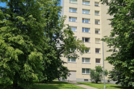 1kambario butas Vilnius Šnipiškės Rinktinės g