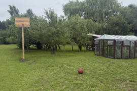 6 a sklypas Vilkaviškio r. sav., Vilkaviškis, Žibučių g.