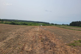 58.29 a sklypas Klaipėdos r. sav., Rokai, Vėžių g.