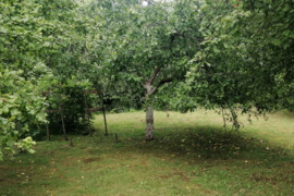 Parduodamas gražus 12 a. sklypas Brinkiškėse, s/b Vilnoja, Kryžinės g. 34