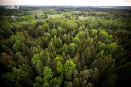 3605 a sklypas Širvintų r. sav., Blendė