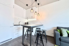 1 kamb. butas Vilnius, Šnipiškės, Linkmenų g.
