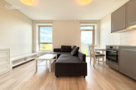 1 kamb. butas Vilnius, Baltupiai, V. Gerulaičio g.